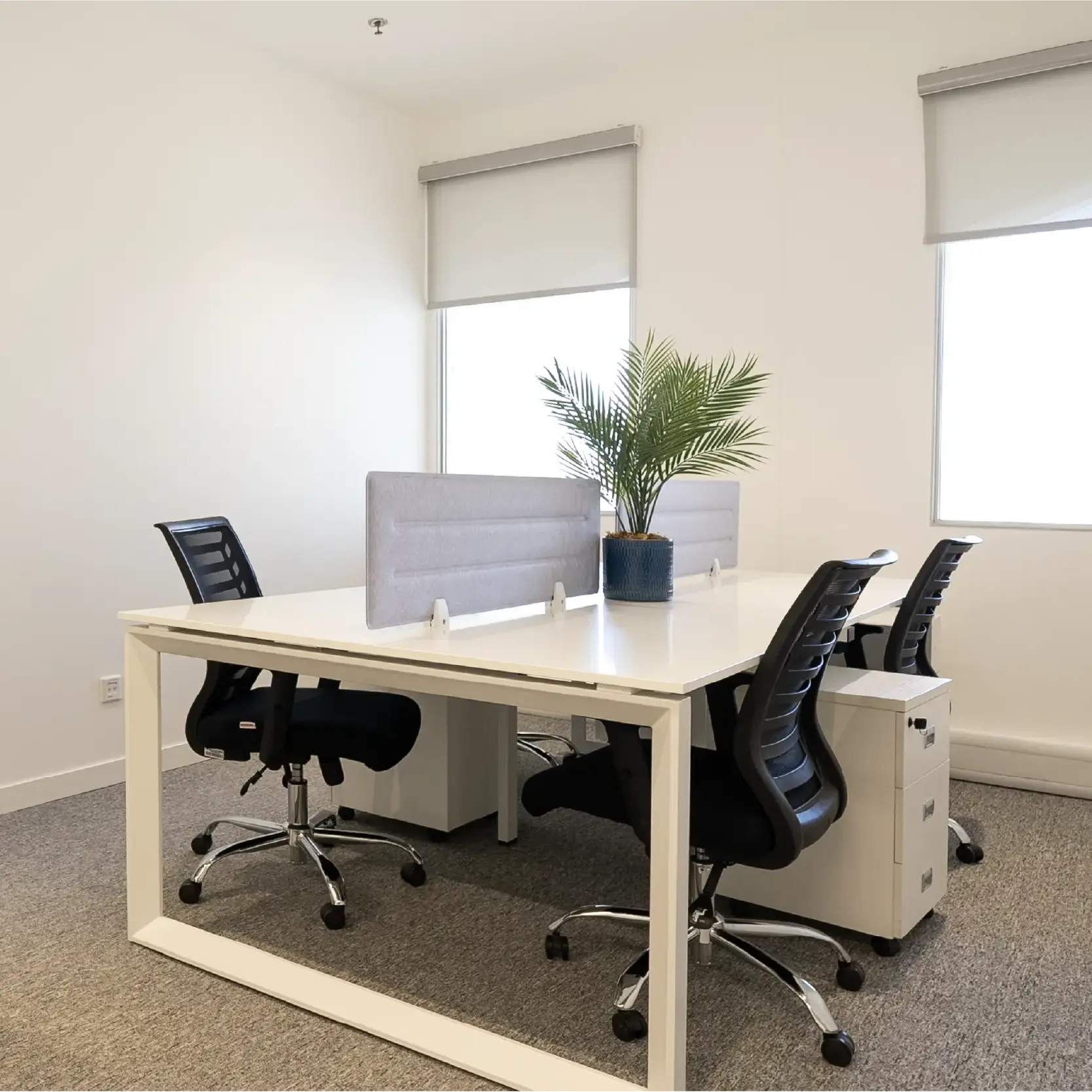 Private Team Office