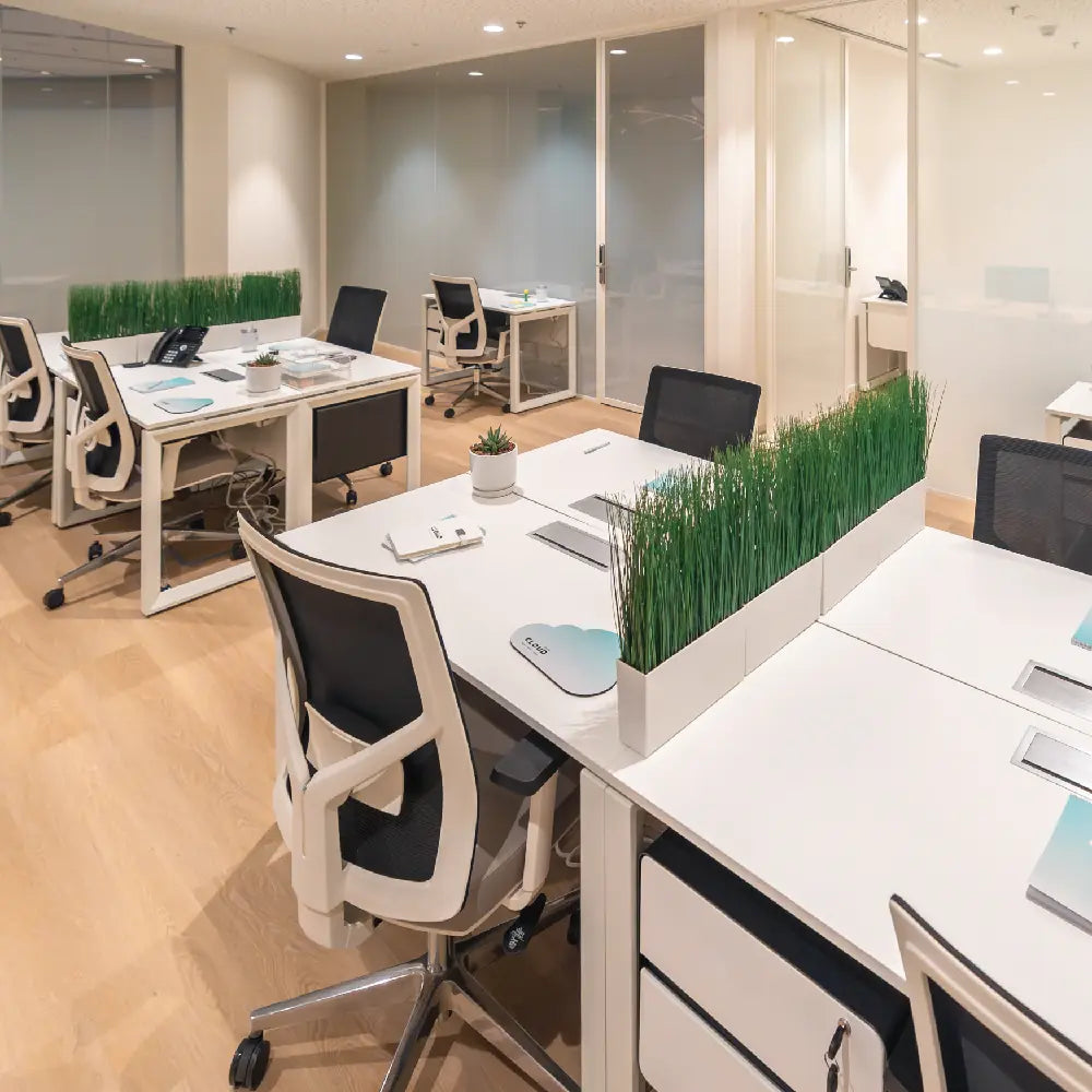 Cloud Suites